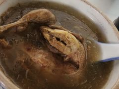 花旗参炖鹌鹑-達揚原味燉品(文明路店)