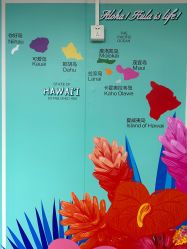 -呼拉汇舞蹈生活馆 Hawaii Hula&Tahiti Dance Studio