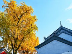 -惠山古镇·寄畅园