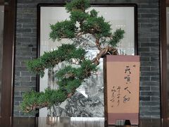 -九木杂物社(大东方百货店)