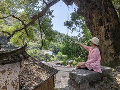 -杨家堂村