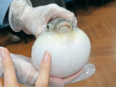 -肆月河豚·新淮扬(金融街店)