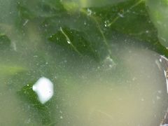 -考记泥焗鸡农庄·海鲜(北洛秘境店)