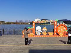 -上海长兴岛郊野公园