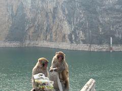 -白帝城·瞿塘峡景区