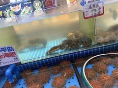 -鲜得莱渔港·小平岛海胆馆(七贤岭店)