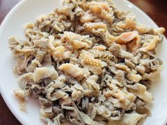 生毛肚-朝伟清真铜瓢牛肉馆(三十年老·店)