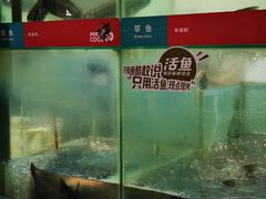 -鱼酷活鱼烤鱼(北美店)