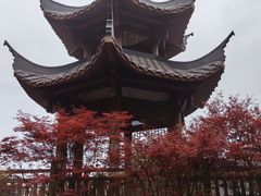 -铁山坪森林公园