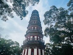 -顺峰山公园
