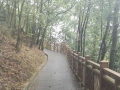 -神光山国家森林公园