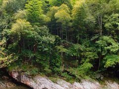 -黄山翡翠谷景区