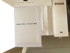 -BLACKSWAN黑天鹅(环球店)