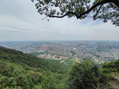 -惠山国家森林公园