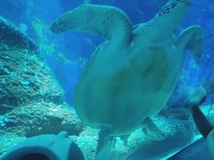 -大连圣亚海洋世界