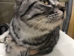 -乖乖乐动物医院(小汤山分院)