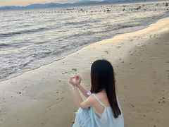 -玫瑰海岸文化旅游度假区