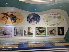 -上海昆虫博物馆
