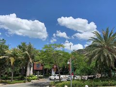 -明记海鲜大排档(巽寮湾店)