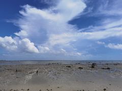 -北海金海湾红树林生态旅游区