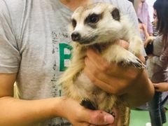 -藦茜花园宠物主题亲子互动体验馆(国顺东路店)