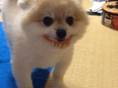 iphone_upload_pic-博纳国际影城(合肥银泰中心店)