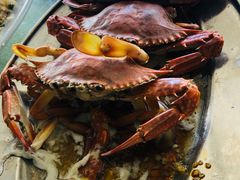 -乡味海鲜农家菜·巽寮土窑鸡(地道美食店)
