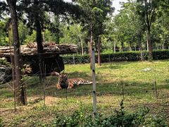 -秦皇岛野生动物园