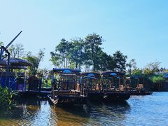 -上海长兴岛郊野公园