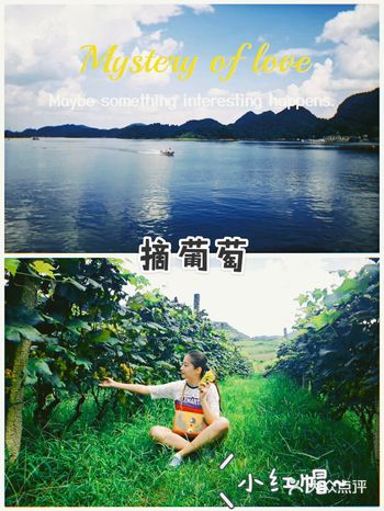 红枫湖葡萄园 7月中—8月底 都是水晶葡萄