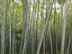 -达蓬山旅游度假区