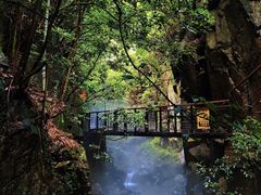-莫干山风景区