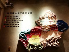 -新疆国际大巴扎