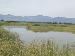 -野鸭湖国家湿地公园