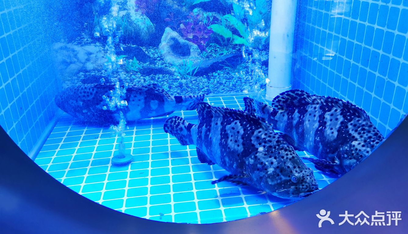 泰晤士小镇里的精品火锅