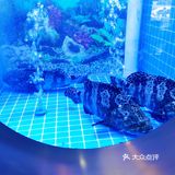 泰晤士小镇里的精品火锅