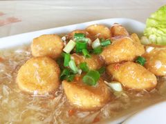 豆腐煲-真浪花园海鲜餐馆