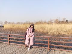 -绿堤公园