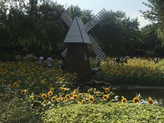 -圩墩遗址公园