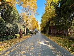 成都北路的门-静安雕塑公园