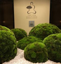 -广州文华东方酒店·水疗中心