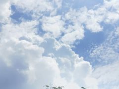 -厦门第七菜市场