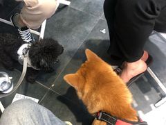 -春莱·老挝咖啡·泰式奶茶(钟楼店)