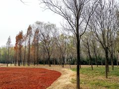 -北坞公园
