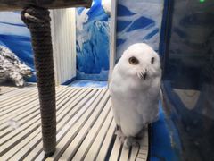 -成都浩海立方海洋公园