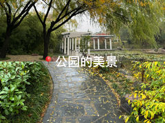 -郑东新区湿地公园