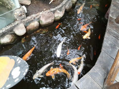android_upload_pic-上海大自然野生昆虫馆