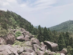 -玉苍山国家森林公园