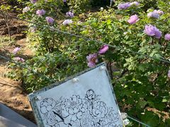 -洛阳市隋唐城遗址植物园