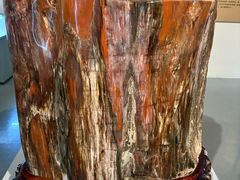 -安徽省地质博物馆